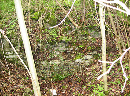 Roche-Buant-LG-25-avril-005 Roche-Buant-LG-25-avril-005