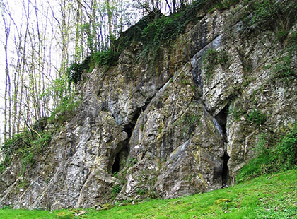 roche-Buant-2004 roche-Buant-2004